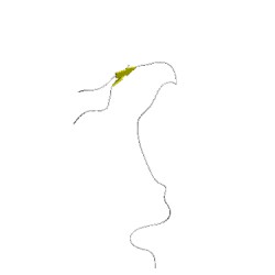 Image of CATH 1h8tD00