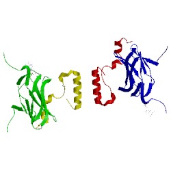 Image of CATH 1h9d