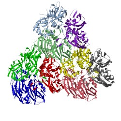 Image of CATH 1hb5