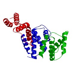 Image of CATH 1hb8