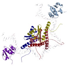 Image of CATH 1hbx