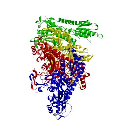 Image of CATH 1hc7