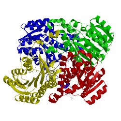 Image of CATH 1hdc