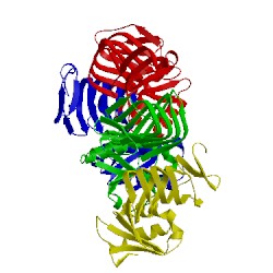 Image of CATH 1hf2