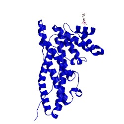 Image of CATH 1hg2