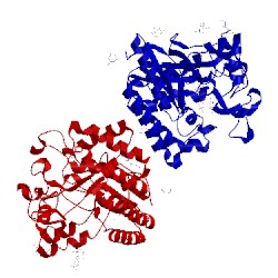 Image of CATH 1hgy