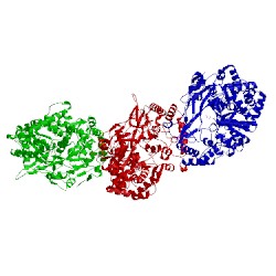 Image of CATH 1hi1