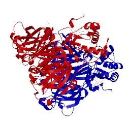 Image of CATH 1hj5