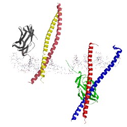 Image of CATH 1hjb