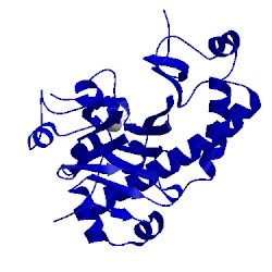 Image of CATH 1hjf