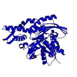 Image of CATH 1hjo