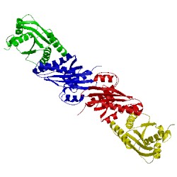 Image of CATH 1hjr