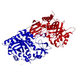 Image of CATH 1hjw