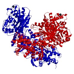 Image of CATH 1hkb