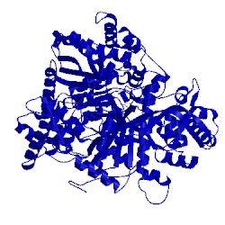 Image of CATH 1hlf