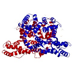 Image of CATH 1hm6