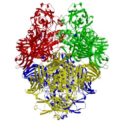 Image of CATH 1hn1