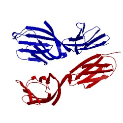 Image of CATH 1hng