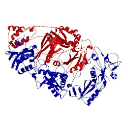 Image of CATH 1hnv