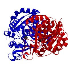 Image of CATH 1hoz