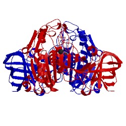 Image of CATH 1hpl