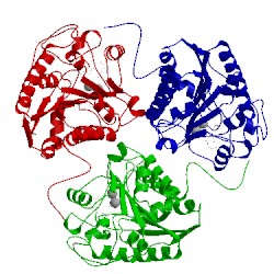 Image of CATH 1hqg