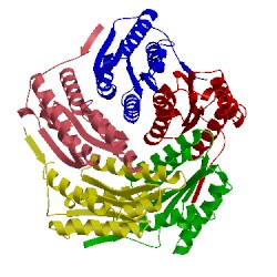 Image of CATH 1hqk