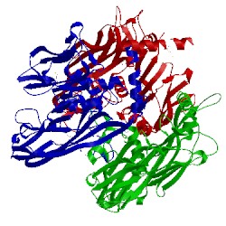 Image of CATH 1hqn