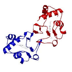 Image of CATH 1hro