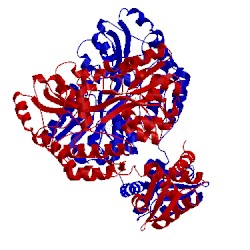Image of CATH 1hsj
