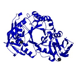 Image of CATH 1hvx