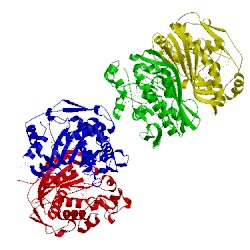 Image of CATH 1hvy