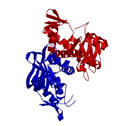 Image of CATH 1hw5