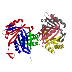 Image of CATH 1hwu