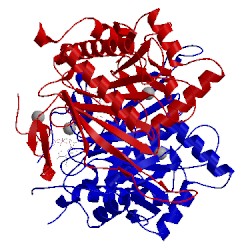 Image of CATH 1hxp