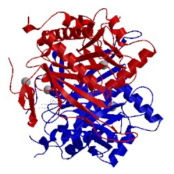 Image of CATH 1hxq