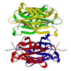 Image of CATH 1hy2