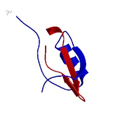 Image of CATH 1hym