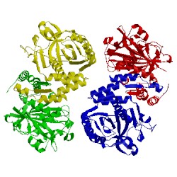 Image of CATH 1hyn