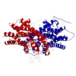 Image of CATH 1hzx