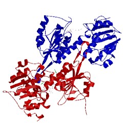 Image of CATH 1hzz