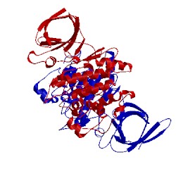 Image of CATH 1i09