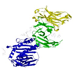 Image of CATH 1i1a