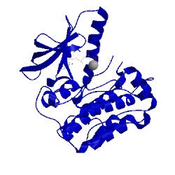 Image of CATH 1i44