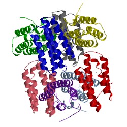 Image of CATH 1i4z