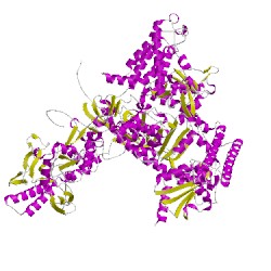 Image of CATH 1i50A