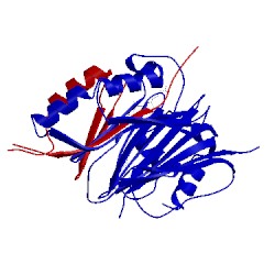 Image of CATH 1i7c