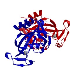 Image of CATH 1i9a