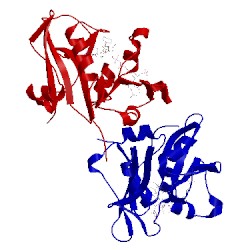 Image of CATH 1ia2