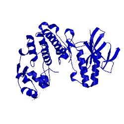 Image of CATH 1ian